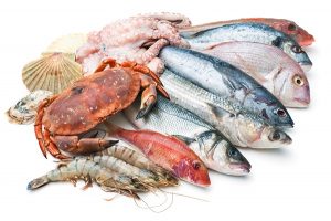 Food Environment Safety Analytical Testing Lab Food Environment Safety Analytical Testing Lab
